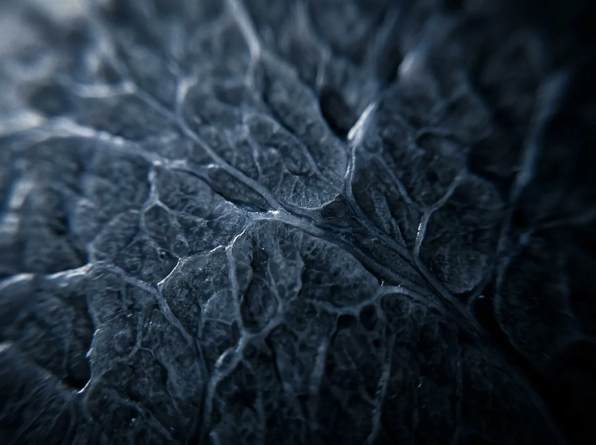 Macro view of fine branching structures across dark tissue